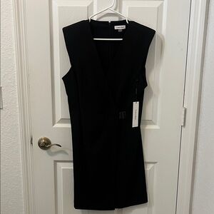 Calvin Klein Women's Black V-Neck Mini Dress